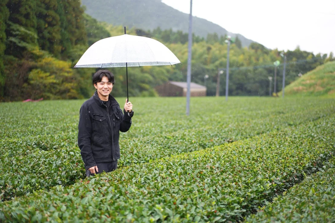 茶畑で傘をさす男性